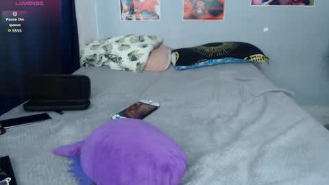 Herbert online show from January 2026 11:20:01 PM