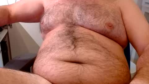 Chubby Bear BY online show from July 2026 07:54:01 AM
