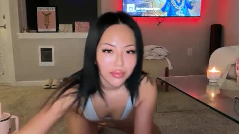 Cindy online show from March 2026 04:17:02 AM