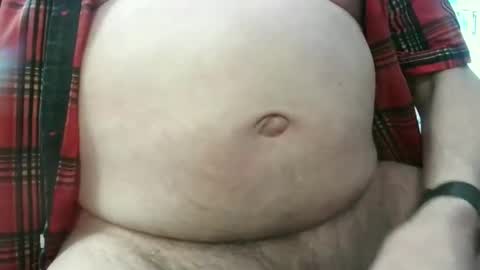 Circus Bear online show from April 2026 02:31:01 PM