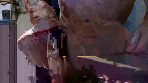 cleanboy1001 online show from February 2026 04:39:02 PM