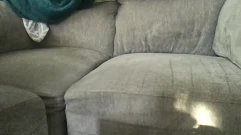 Snapshot of clemons24 chatting on December 2024 07:12:01 PM clemons24 online show from December 2024 07:12:01 PM