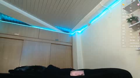 clermontt online show from February 2026 10:45:01 AM