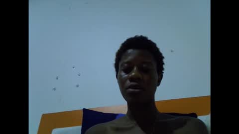 cockfanx online show from November 2025 10:34:02 PM