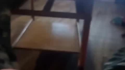 cockgod308236 online show from November 2025 03:28:01 AM