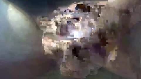 cocktoys online show from October 2025 08:49:01 AM