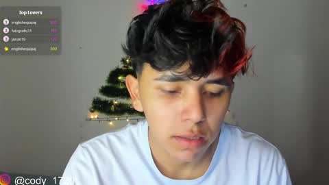 Snapshot of cody_evanss chatting on December 2024 03:00:02 PM cody online show from December 2024 03:00:02 PM