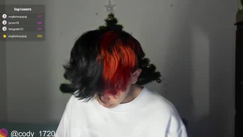 Snapshot of cody_evanss chatting on December 2024 01:18:02 AM cody online show from December 2024 01:18:02 AM