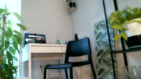 Snapshot of colorfullydark chatting on February 2025 05:37:02 PM Noni online show from February 2025 05:37:02 PM