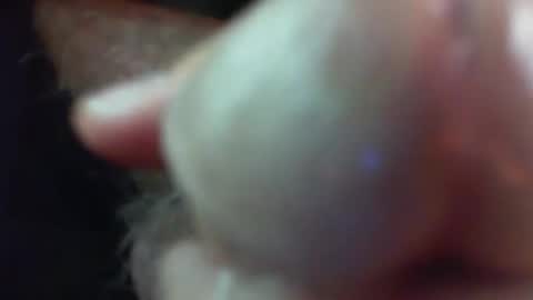 Snapshot of comox1961 chatting on November 2025 05:21:01 AM comox online show from November 2025 05:21:01 AM