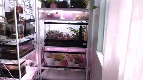 Snapshot of constantcumquest chatting on November 2025 03:44:01 PM ANR Mommy online show from November 2025 03:44:01 PM