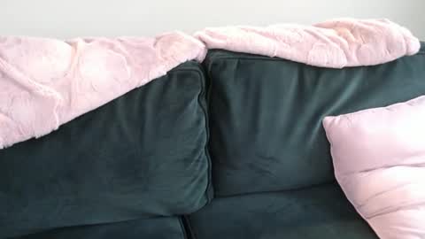 Snapshot of constantcumquest chatting on November 2025 08:03:01 PM ANR Mommy online show from November 2025 08:03:01 PM