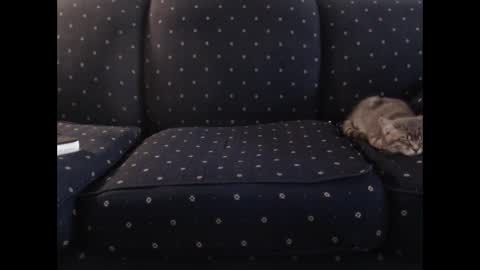 copper_crotch online show from December 2025 01:34:01 AM