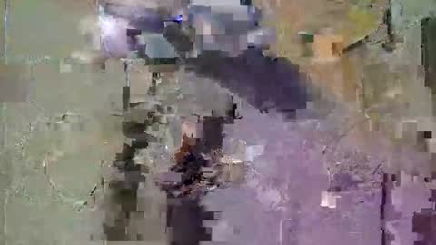 Corrado online show from December 2025 08:56:02 AM