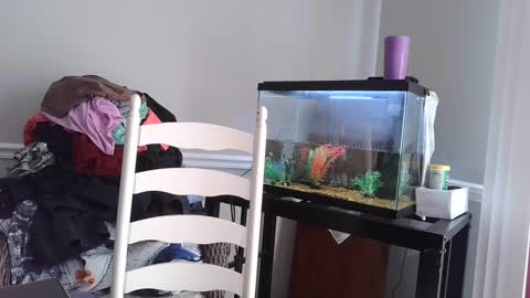 Snapshot of countrylovin2018 chatting on March 2025 05:56:01 PM Fallen Angel 21 online show from March 2025 05:56:01 PM