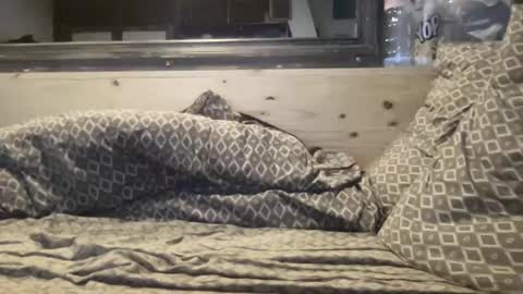 crapaud75018 online show from January 2025 06:20:01 AM