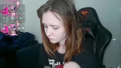 Snapshot of crash_test13 chatting on February 2025 06:25:02 AM crash_test13 online show from February 2025 06:25:02 AM