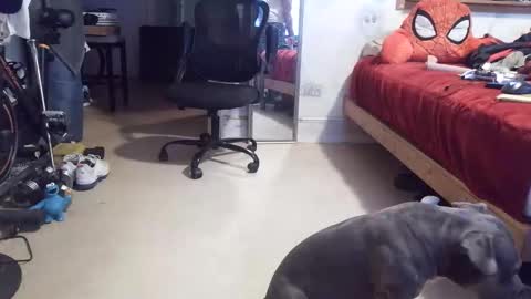 drbucknaked online show from April 2026 11:07:02 PM