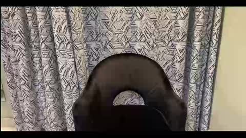 Snapshot of creamonmycakes chatting on September 2025 10:04:02 AM CreamOnMyCakes online show from September 2025 10:04:02 AM