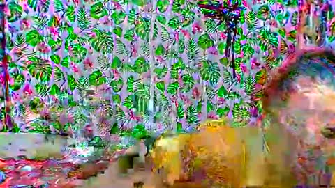 cristine316 online show from February 2025 05:19:02 AM