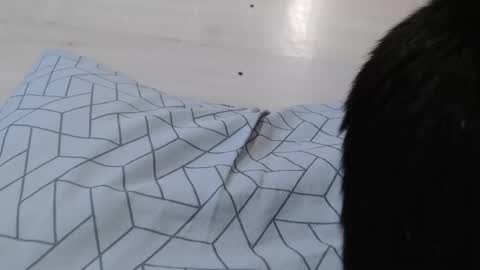 Snapshot of cristynaa36 chatting on November 2025 12:05:02 PM cristynaa36 online show from November 2025 12:05:02 PM