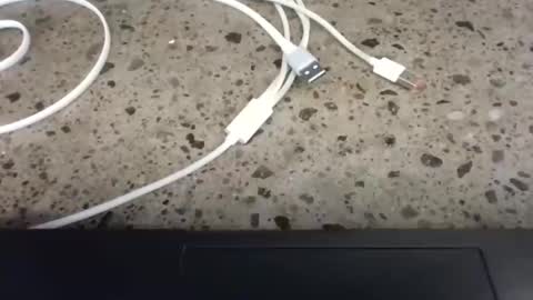 cruelworldxxx online show from February 2026 10:52:02 PM