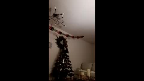 Snapshot of cruise713 chatting on December 2025 03:48:01 AM Bella online show from December 2025 03:48:01 AM