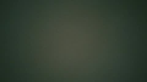 ctbddc online show from December 2024 09:17:02 AM