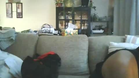 Snapshot of cumdumpslutfag chatting on June 2026 09:51:02 AM cumdumpslutfag online show from June 2026 09:51:02 AM