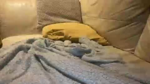 Cumfar online show from December 2025 02:39:01 AM