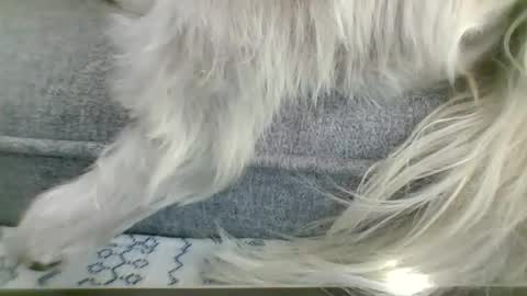 Snapshot of cumfestlover chatting on September 2025 11:26:02 PM cumfestlover online show from September 2025 11:26:02 PM