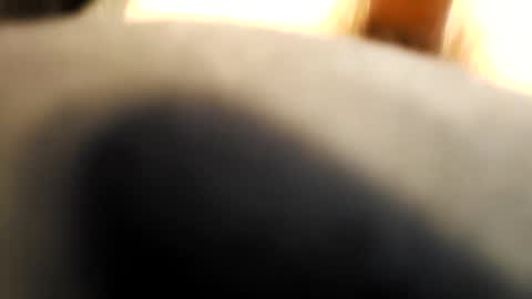 cumonmyface427 online show from December 2025 06:38:02 PM