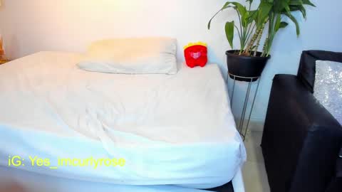 Rose online show from January 2025 09:14:02 PM