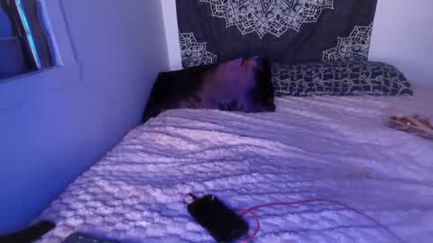 Snapshot of curvybcelinemixe chatting on March 2025 07:21:02 AM Cline  online show from March 2025 07:21:02 AM