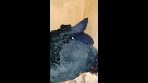 Snapshot of curvylucifinaxxx chatting on January 2026 05:12:01 AM Lucifina ganja kittens online show from January 2026 05:12:01 AM