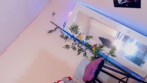 danny online show from December 2024 03:17:01 PM