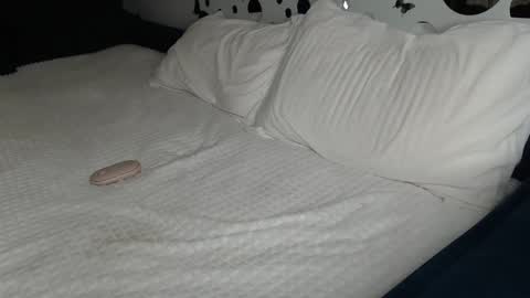 Snapshot of cuteemouse chatting on January 2025 01:52:01 PM Anna online show from January 2025 01:52:01 PM