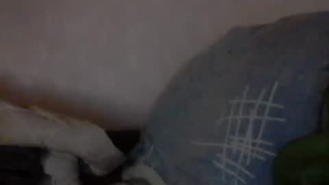 cutekattie online show from January 2025 03:58:01 AM