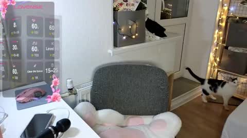 Alice  online show from December 2024 02:11:02 PM