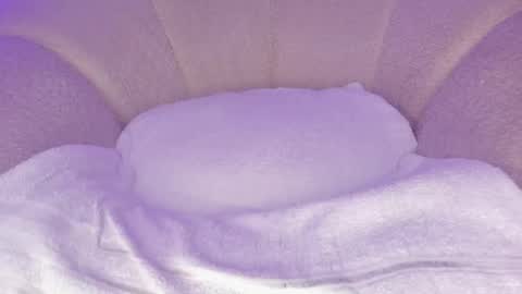 Snapshot of cutte_hanna18 chatting on December 2025 06:58:01 PM Hannah online show from December 2025 06:58:01 PM