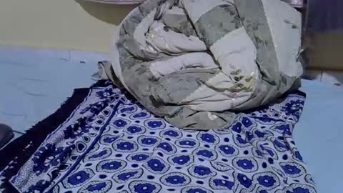 cuttepappy online show from June 2026 08:22:02 PM