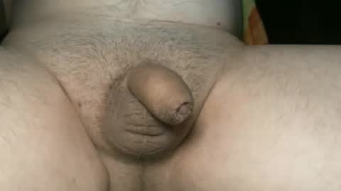 Snapshot of cyborgcock942048 chatting on November 2025 01:44:02 PM cyborgcock942048 online show from November 2025 01:44:02 PM