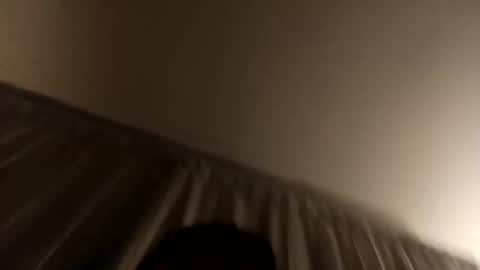 Snapshot of d1988 chatting on November 2025 08:59:01 AM D online show from November 2025 08:59:01 AM