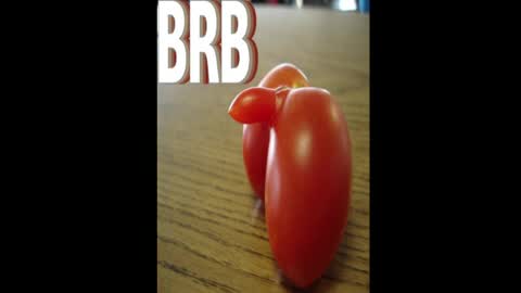 Dave online show from April 2026 04:19:01 AM