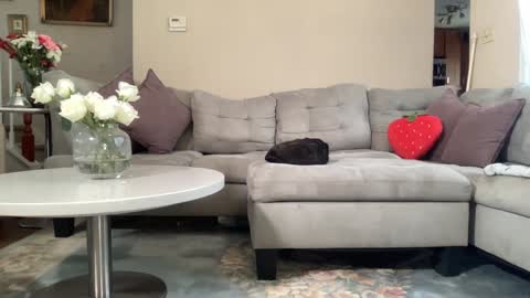 Belle  Email daddydaycarecb  online show from February 2026 05:55:01 PM