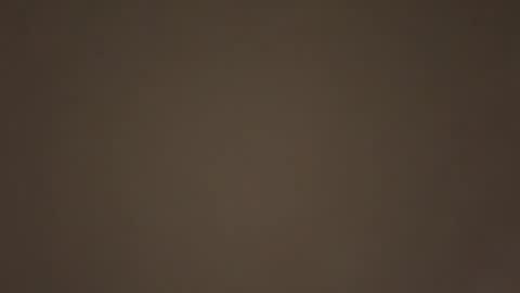 Daddy online show from January 2026 07:50:01 PM