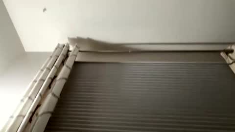 Snapshot of daddyweis chatting on September 2025 02:23:01 AM daddyweis online show from September 2025 02:23:01 AM