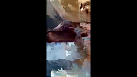 Snapshot of dadsfreedickrides chatting on June 2026 09:15:02 AM dadsfreedickrides online show from June 2026 09:15:02 AM