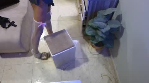 Deffa online show from February 2025 10:00:01 AM