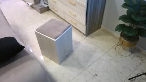 Deffa online show from February 2025 08:49:02 AM